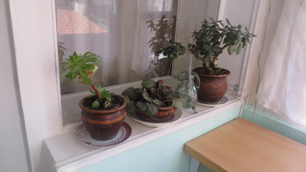 Evrika Apartments On Rustaveli Avenue Tbilisi Room photo